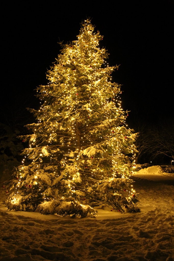 Jul på Moster 2013