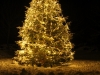 Flott juletre på Moster 2012